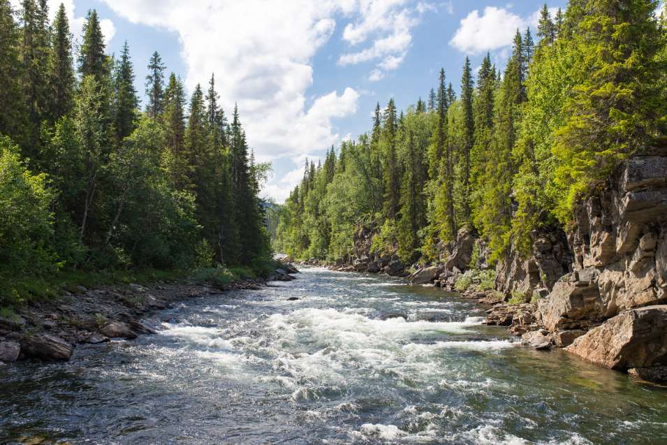riviere-petit-buech